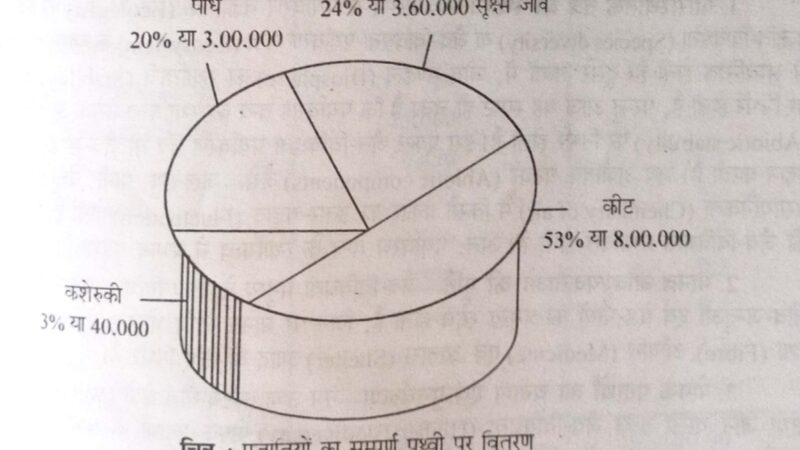 जैव विविधता क्या है प्रकार,  महत्व, कारण को समझाइए ?