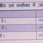 लसीका परिसंचरण तंत्र