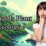 What Is Plant Ecology