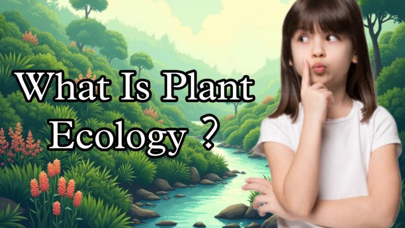 “What Is Plant Ecology? Key Concepts and Examples”