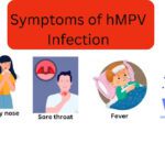 Human Metapneumovirus