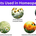 Homeopathy