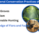 Wildlife Protection Among Tribals
