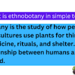 Ethnobotany