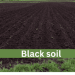 Soil Types in India: Characteristics, Formation, and Agricultural Significance