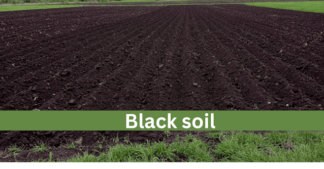 Soil Types in India: Characteristics, Formation, and Agricultural Significance