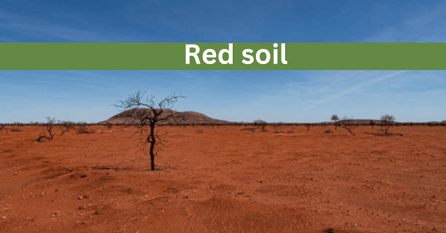 Red soil