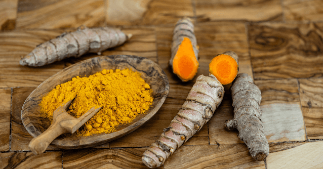 Curcuma longa