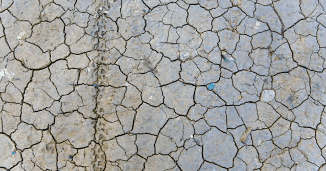 saline & Alkaline soil