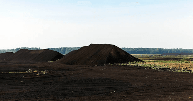Peaty & Marshy Soil