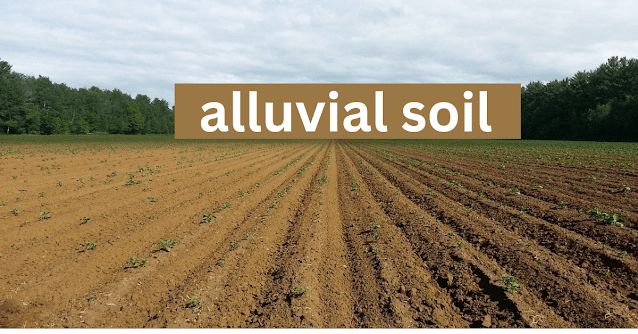 Soil Types in India