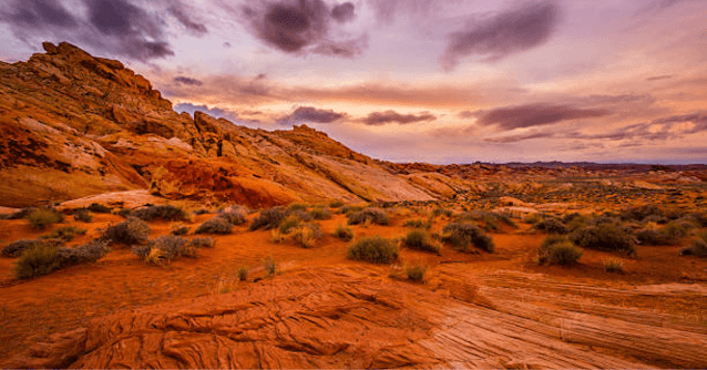 Mountain soil