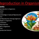 Reproduction in Organisms