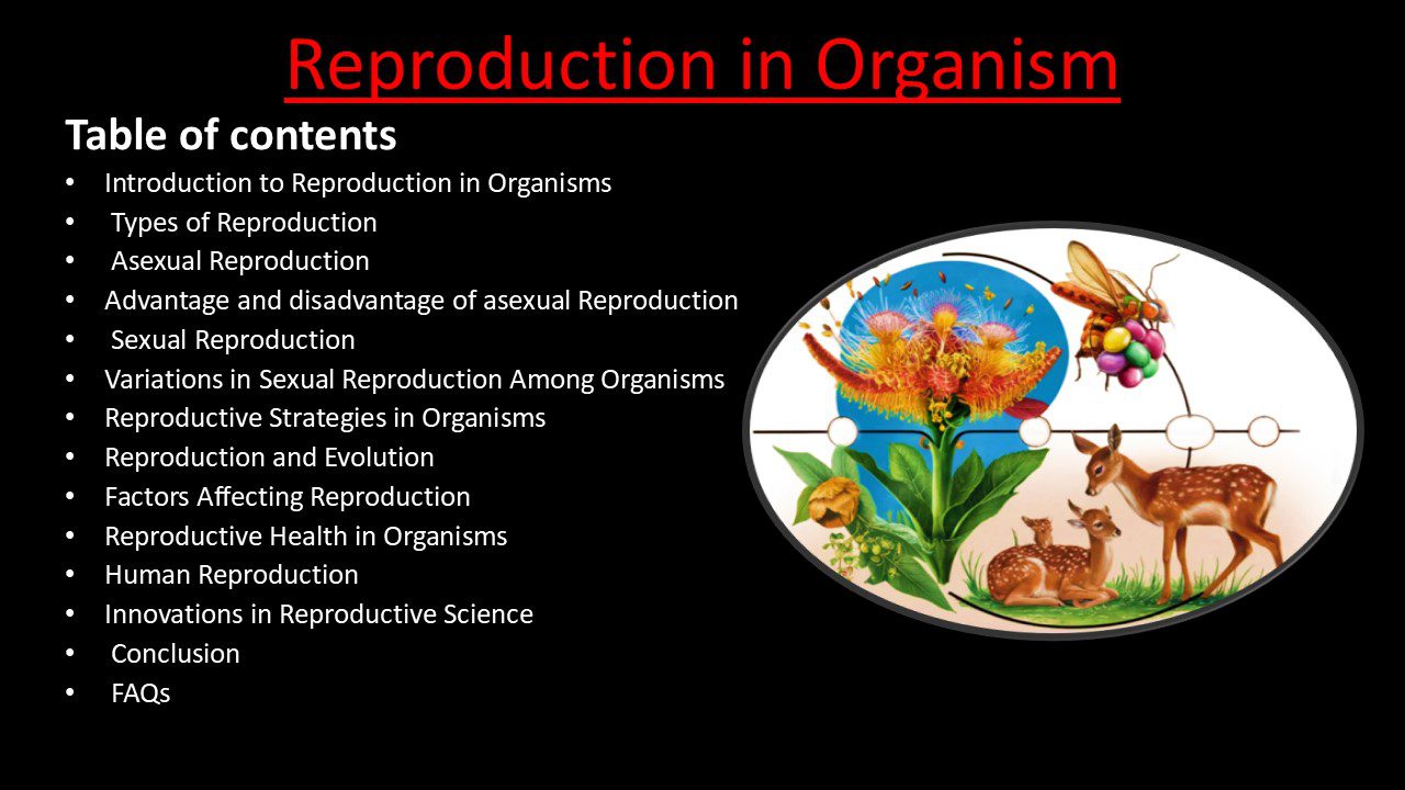 Reproduction in Organisms 1 Reproduction in Organisms