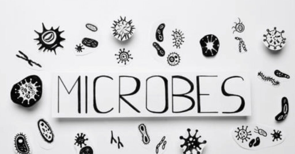 Microbe