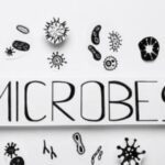 Microbe