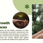 Plant Growth Substances