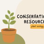 Conservation of Resources