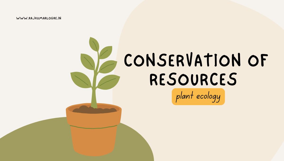 Conservation of Resources
