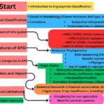APG System of Classification of Angiosperms