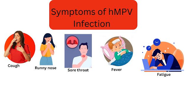 Human Metapneumovirus (hMPV)