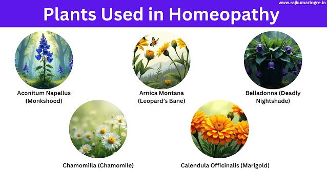 A Detailed Study of Medicinal Plants in Homeopathy and Unani Medicine Systems Homeopathy Plants
