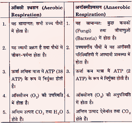 कोशिका एवं कोशिका संरचना