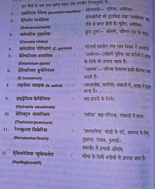 Ranunculaceae(रेनुनकुलस)