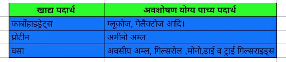 मानव पाचन तंत्र (Human digestive system)