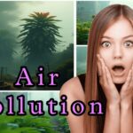 What is Air Pollution? Sources, Effects, Control measures