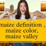 maize definition, maize color, maize valley