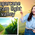 sugarcane dreamlight valley