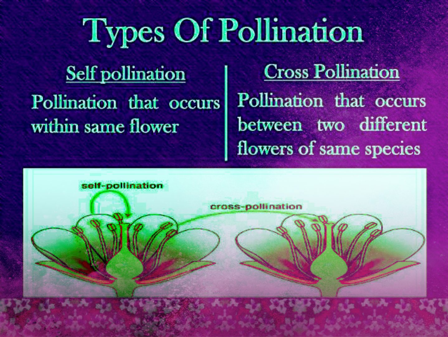 Pollination