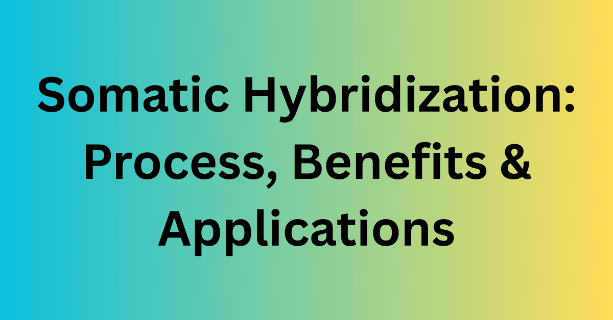 Somatic Hybridization: Process, Benefits & Applications 1 Somatic Hybridization: Process, Benefits & Applications