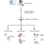 Protein Profiling and Its Significance