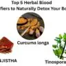blood purifier