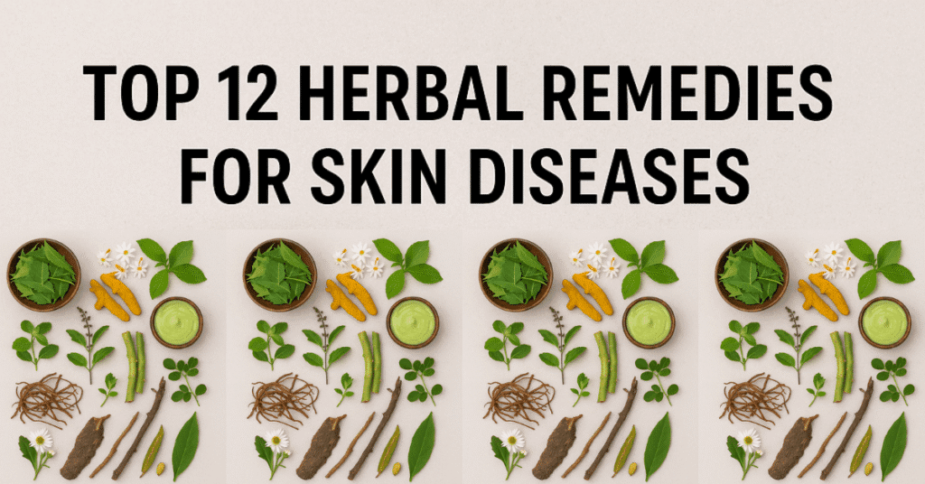 12 Powerful Medicinal Plants for Treating Skin Diseases Naturally | Herbal Remedies for Healthy Skin 2 Skin diseases