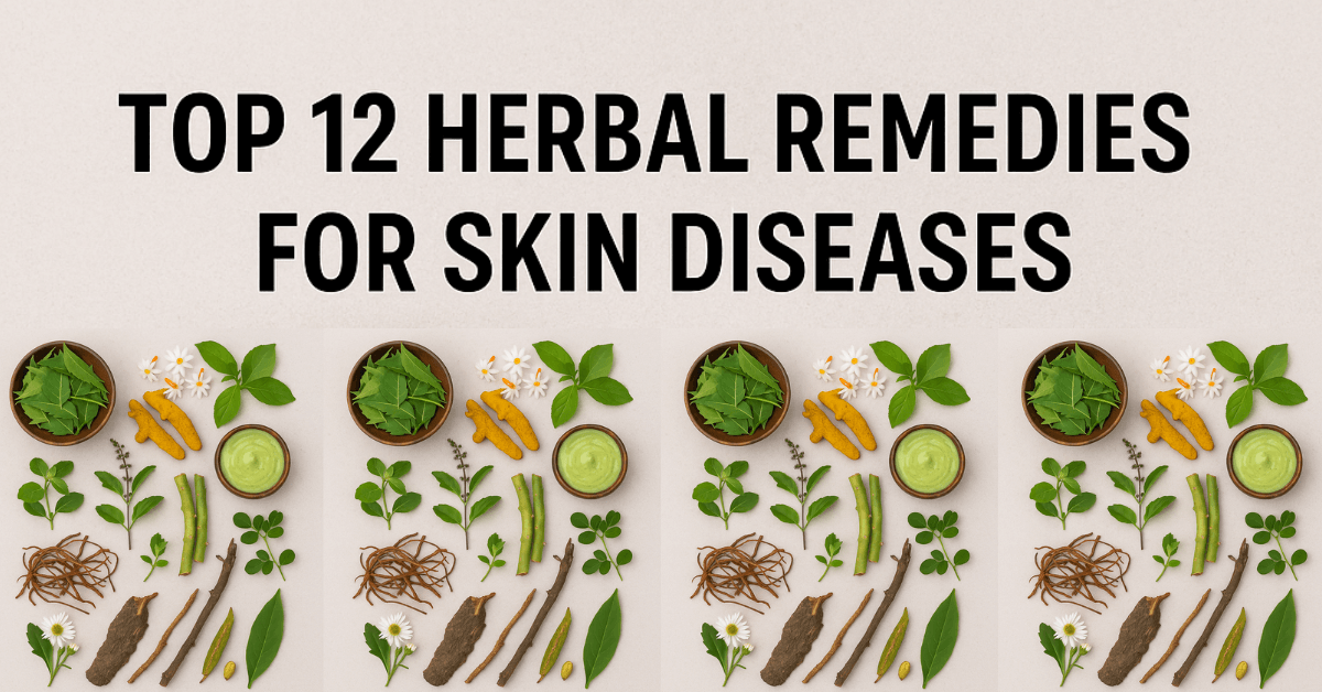 12 Powerful Medicinal Plants for Treating Skin Diseases Naturally | Herbal Remedies for Healthy Skin 1 12 Powerful Medicinal Plants for Treating Skin Diseases Naturally | Herbal Remedies for Healthy Skin