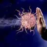 Defense Protection immune system