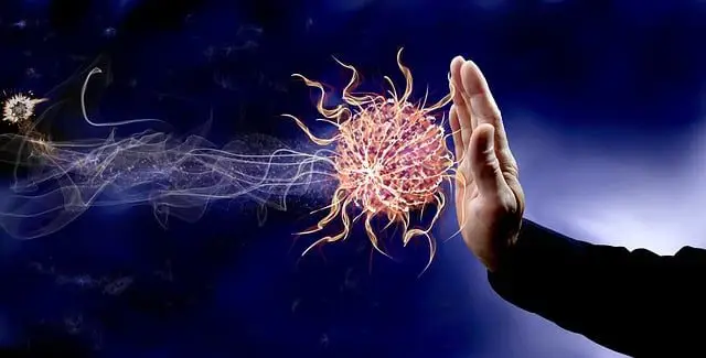 10 Proven Ways to Boost Your Immune System Naturally for Stronger Health