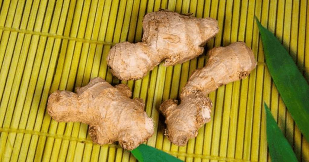 Heart Diseases - Treat and Prevent with These 12 Ayurvedic Herbs 6 Heart Diseases - Treat and Prevent with These 12 Ayurvedic Herbs