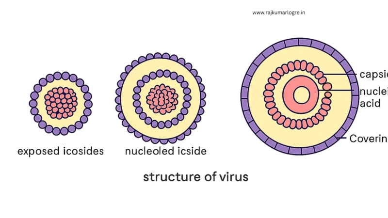 Virus – Characteristics, History, Shape, Classification