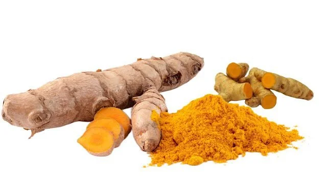 Curcuma longa: Scientific Identification, Morphology, and Uses