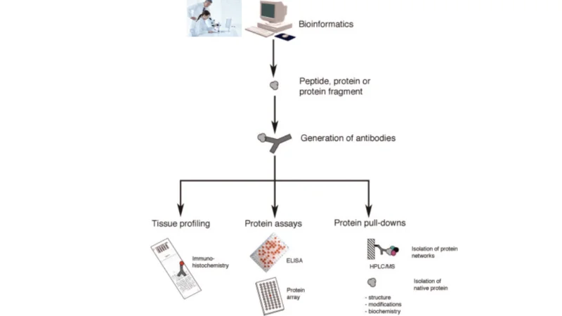 Protein Profiling and Its Significance