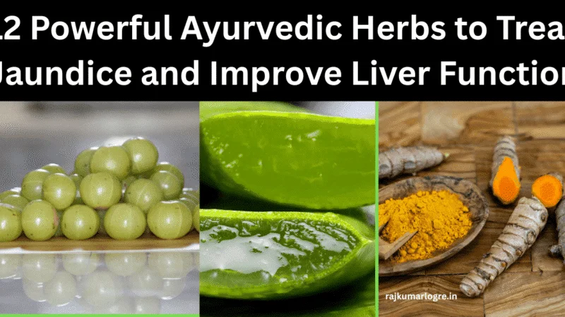 12 Powerful Ayurvedic Herbs to Treat Jaundice and Improve Liver Function